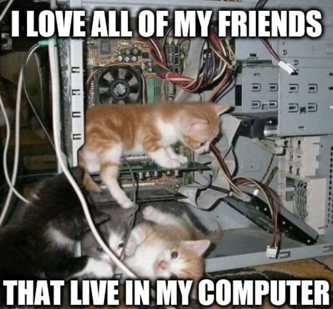 Cats inside the computer